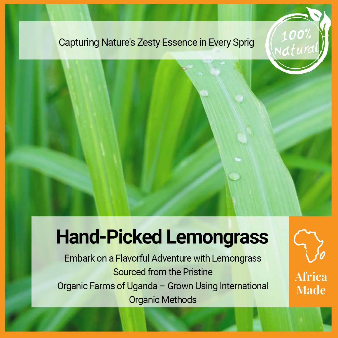 Organic Lemongrass Loose Leaves 75g