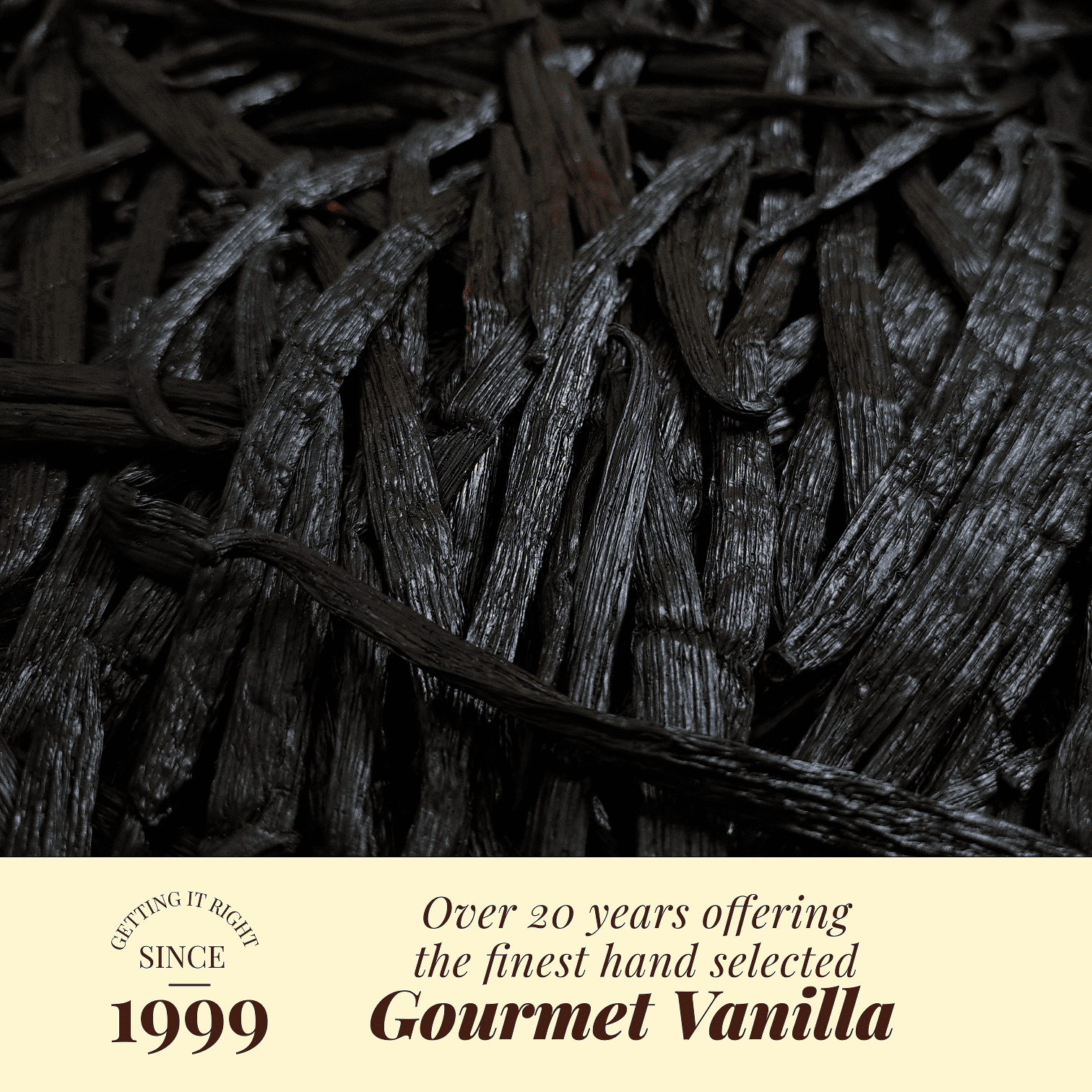 10 Vanilla Beans Grade A | Premium Gourmet Whole Pods