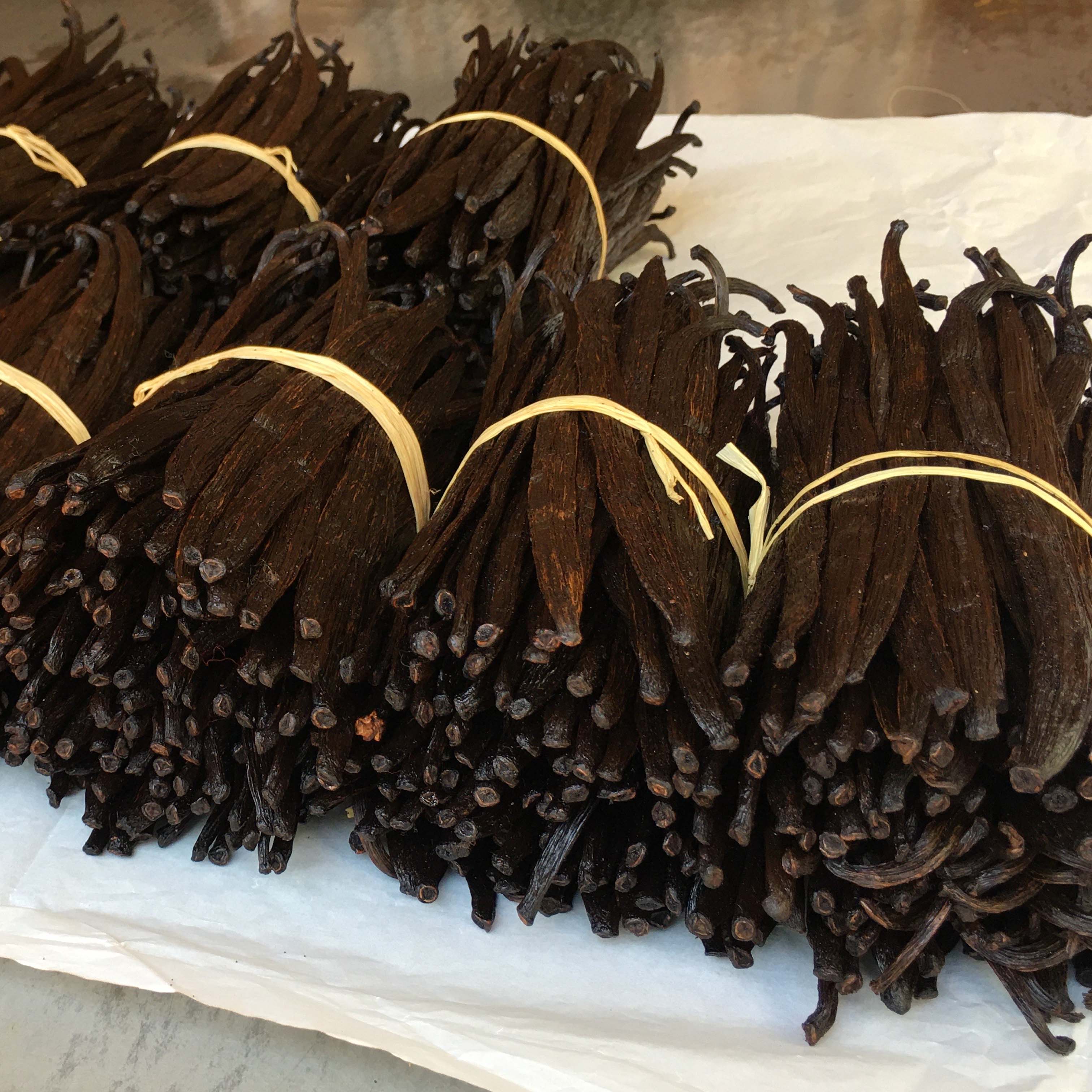 10 Vanilla Beans Grade A | Premium Gourmet Whole Pods